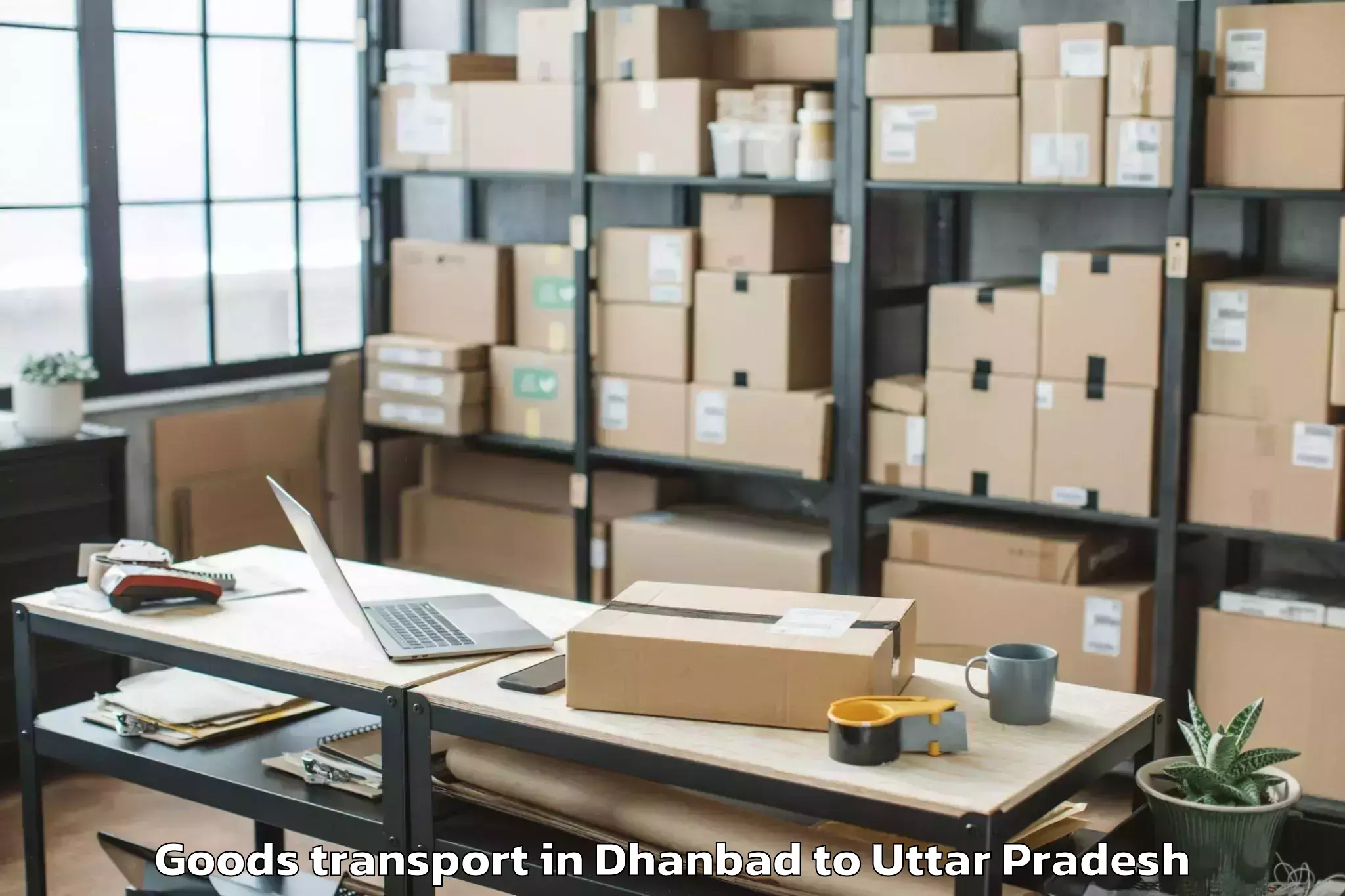 Quality Dhanbad to Konch Goods Transport